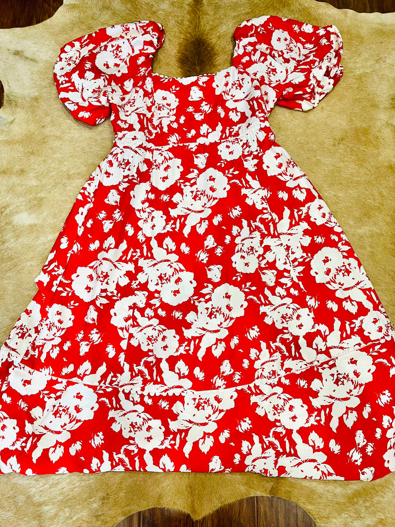 Rosy blossom plus size dress